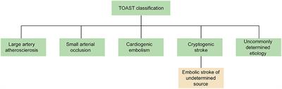 Atrial Cardiomyopathy: An Emerging Cause of the Embolic Stroke of Undetermined Source